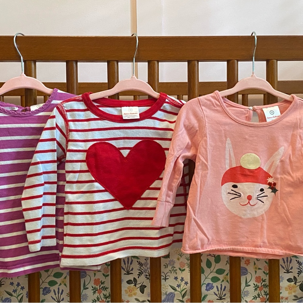 Bundle of 3 Hanna Andersson longsleeve tees - Sz 6-12m